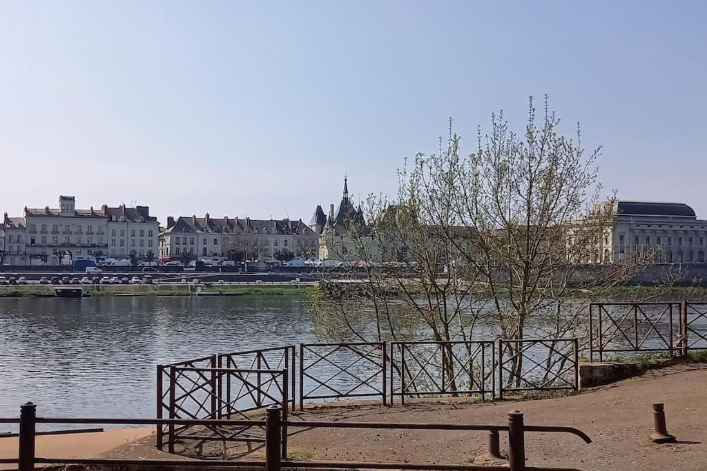 Les Marronniers Appartement Centre Saumur Bord De Loire ภายนอก รูปภาพ
